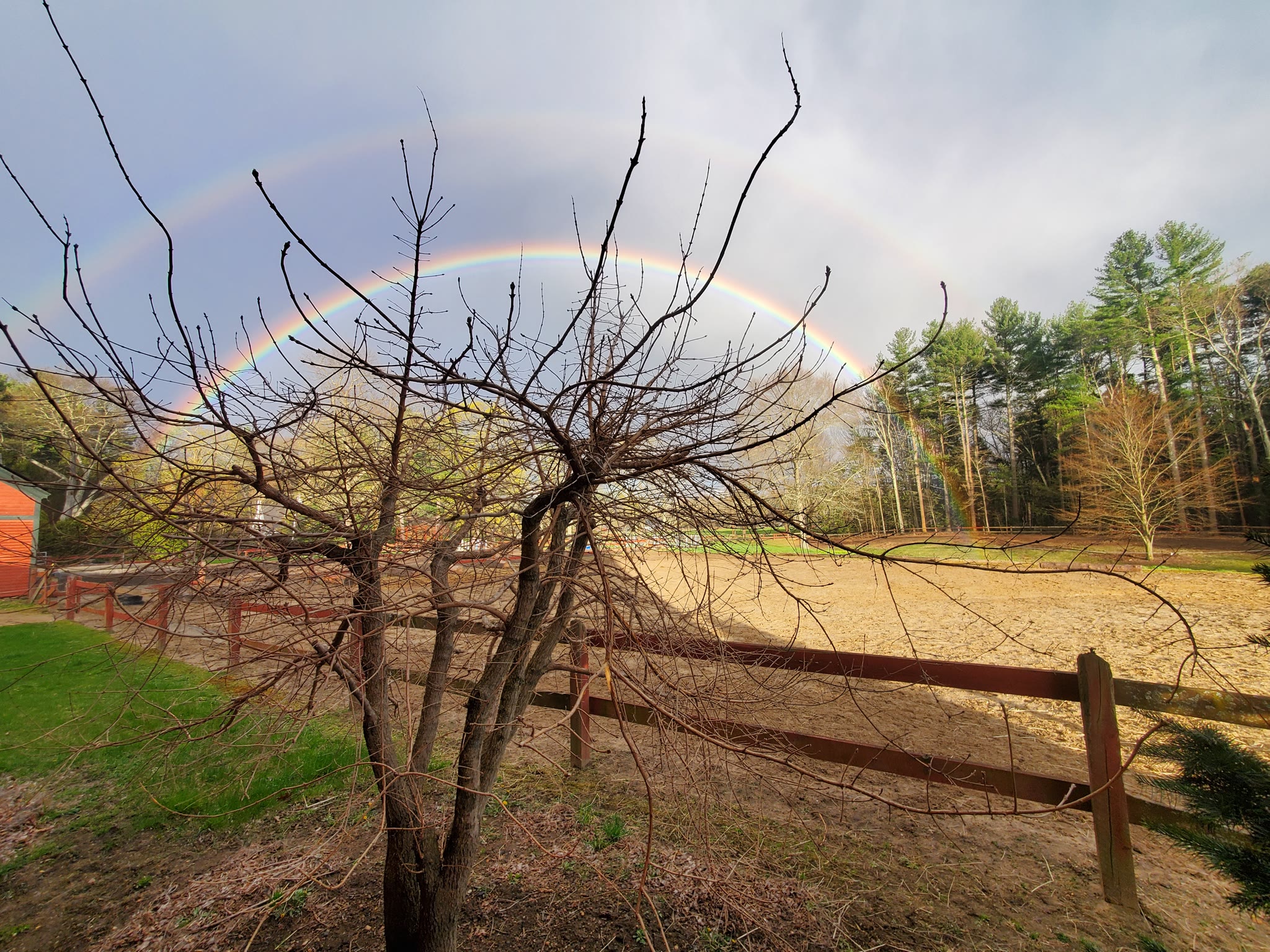 A double rainbow over the paddock