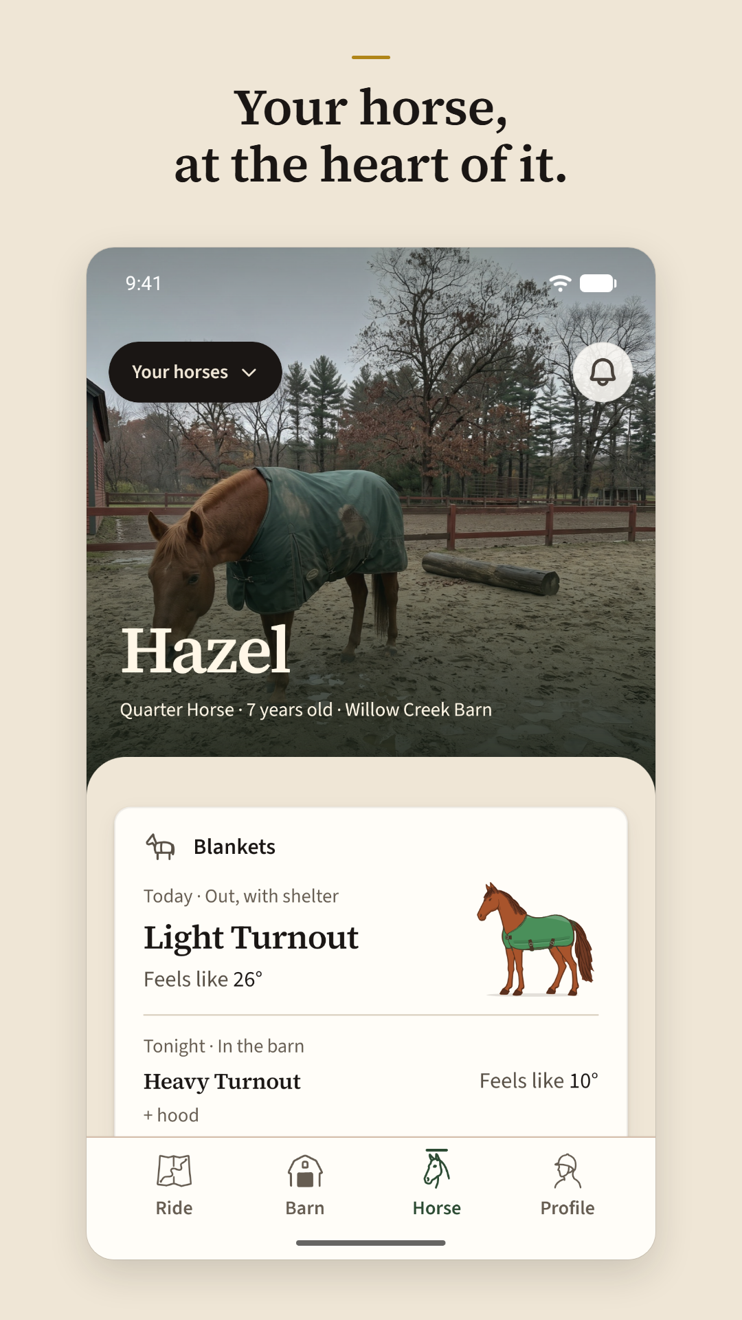 Your horse, at the heart of it