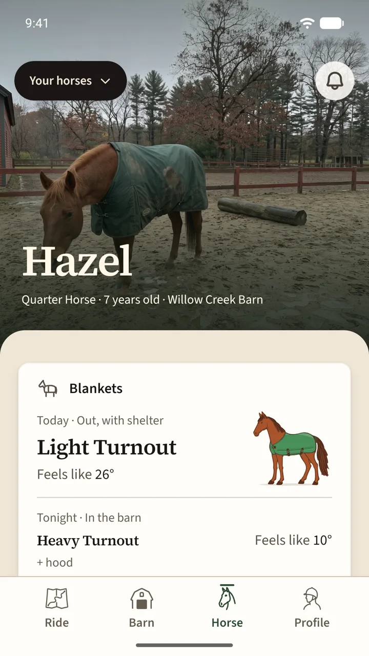 Hazel's home: her photo, and today's and tonight's blanket.