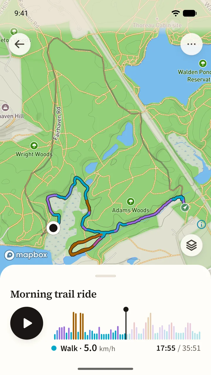 A ride replayed, the track painted by walk, trot and canter.